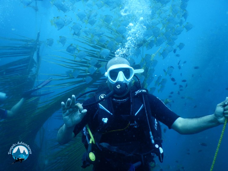 vidyasagar, diving at temple reef, pondicherry00007.jpg