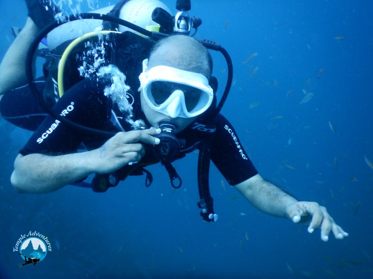 vidyasagar, diving at temple reef, pondicherry00019.jpg
